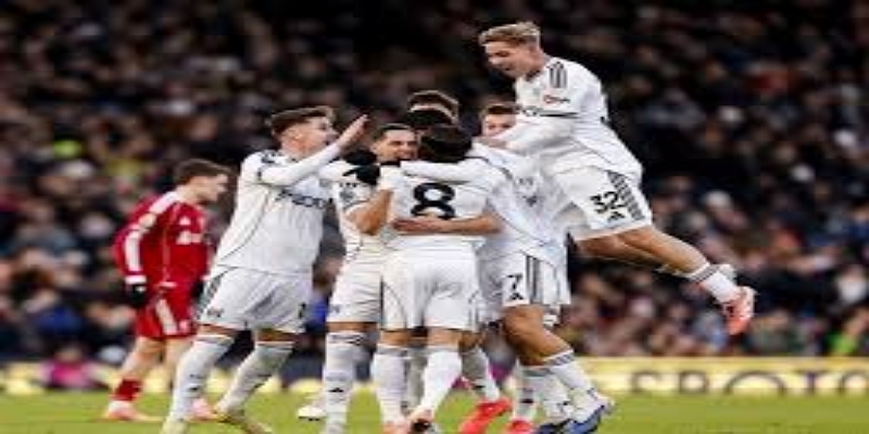 五大代表案例拆解：开云体育逐一分析 -开云体育