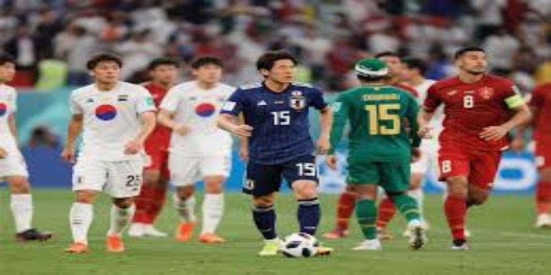 最佳观赛体验：波特兰伐木者与西北德比火花- 开云体育