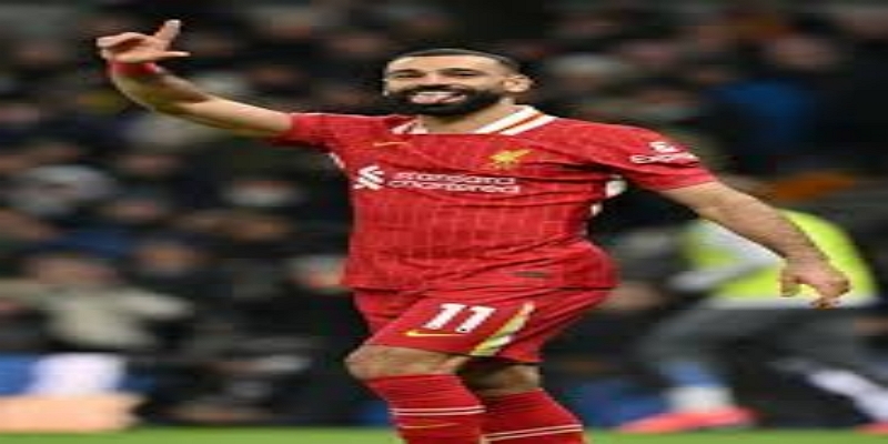 核心球员经验与争冠价值 - 开云体育