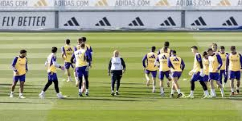 从演播室到训练场：一场关于极限的自我挑战-开云体育