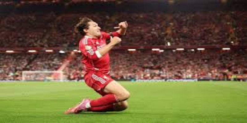 弗拉纳甘告别红军：场外事件与职业生涯的分岔口- 开云体育