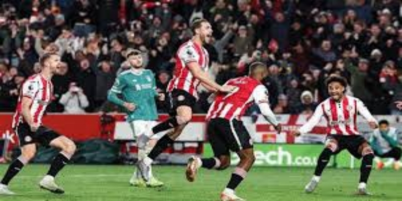 伤病数量与类型分析  - 开云体育